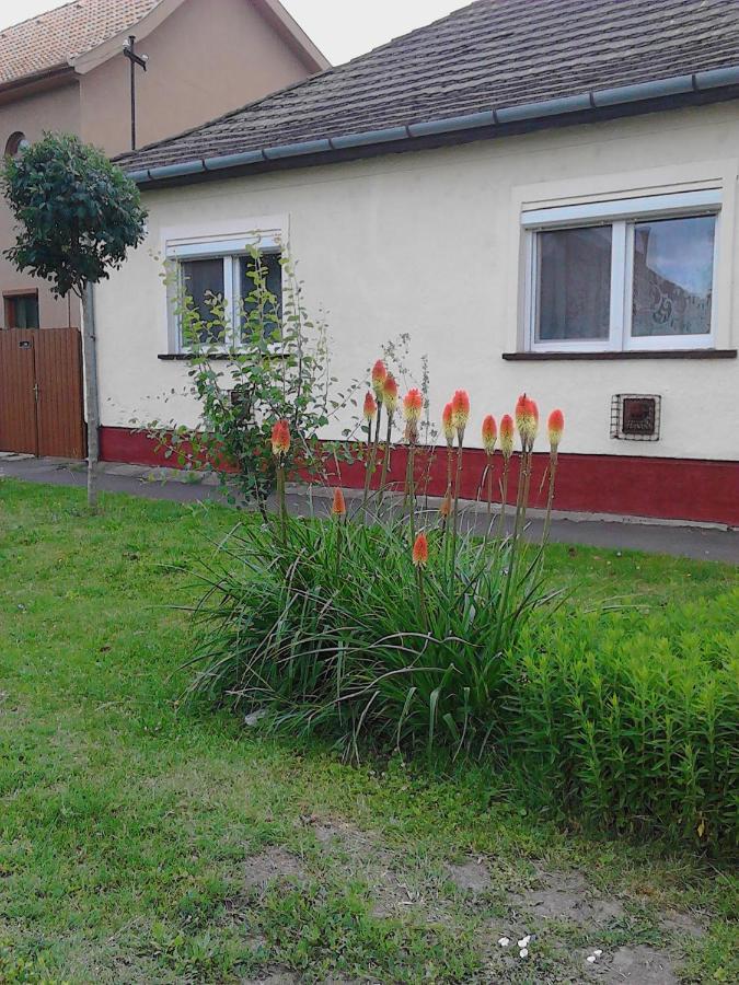 Tóth Magánszállás Hajdúszoboszló Exterior foto